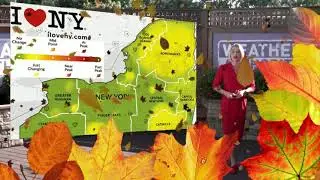 Fall Foliage in New York