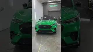 Wrap Trap Hollywood 3M High Gloss Envy Green