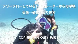 【記録映像｜スキルチェック編（WS11)】フリーフロー・レギュレーターからの呼吸｜失敗→修正を繰り返す｜沖縄県・恩納村｜BlueLeaf