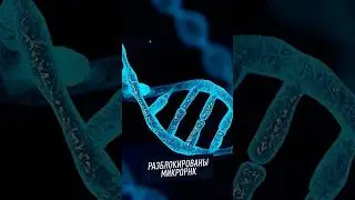 МЕДИЦИНСКОЕ ОТКРЫТИЕ НОБЕЛЕВСКИХ ЛАУРЕАТОВ #ученый #премия #медицина #рак #наука