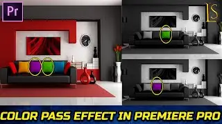 How To Use Color Pass Effect in Premiere Pro | Color Pass Effect | lunatic sunspot