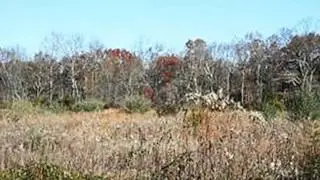 Homes for Sale - 983 Whitehall Road L 4 Franklinville NJ 08344 - James Sullivan