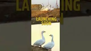 Bahria Town Karachi 2, Launching Soon! #BahriaTownKarachi2 #BTK2 #LaunchingSoon #BahriaTown