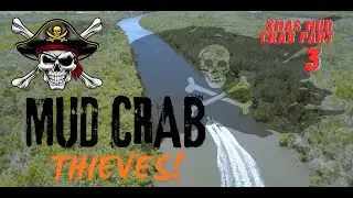 MUD CRAB THIEVES! ☠️ Poachers!! #poacher #mudcrab #boating #catchandcook