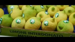 Limone Interdonato IGP. Storia, caratteristiche, area di produzione