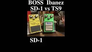Ibanez TS9 TubeScreamer vs Boss SD-1 Super OverDrive #ibanez #boss #guitarpedals #guitar #fender