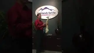 Chiropractor Centennial Colorado
