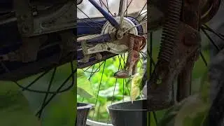 Color Grading Transition.. Direct Sensor + 7artisan lens.. #directsensor #redminote8