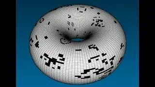 Conway's Game of Life on a Torus