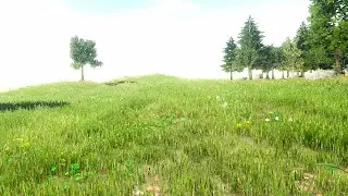 Unity - Grassland Scene Frame Rate Test.
