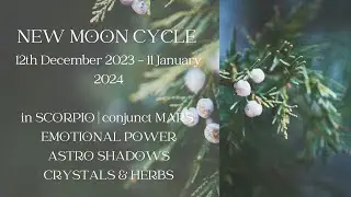 SCORPIO MOON CYCLE | SIDEREAL ASTROLOGY | SHADOW WORK | EMOTIONAL STRENGTH/ POWER | CRYSTALS & HERBS