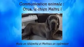 329 - Session #hypnose : Communication animale avec Orus, le chien ma&icirc;tre !