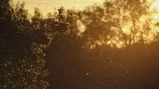 HOPEFUL - Brock Hewitt: Stories in Sound | The David Roy Collective