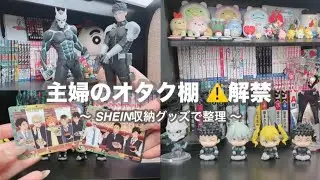 【vlog】主婦のオタク棚⚠️解禁‼️漫画・グッズ・SHEINで ガチャ収納アイテムを使って整理📚読書熱🥰