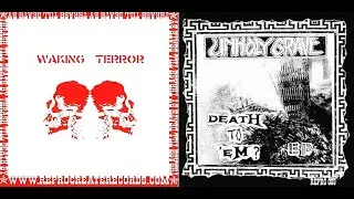 WAKING TERROR / UNHOLY GRAVE - Split 7