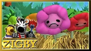 Zigby - Episode 32 - Zigbys Collection