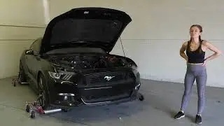 Ford Mustang Salvage Car Rebuild
