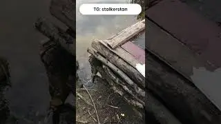 STALKER Болота из Чистого Неба в реале ч.1