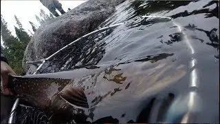 DRY FLY Brook Trout MECCA | Crooks Lake Lodge