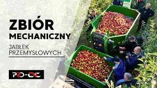 Machines for mechanical harvesting of industrial apples - PRO-CNC