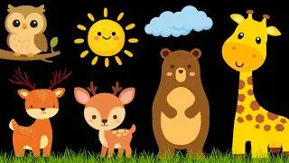 Baby Sensory Video with Calm Baby Music | Sensory Videos for Babies - Visual Stimulation for Newborn