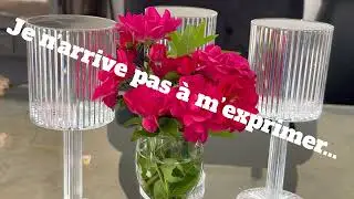 HPI/HPE.Neuroatypie. : 5/. je n&rsquo;arrive pas &agrave; m&rsquo;exprimer.