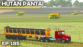 NOT 1, NOT 2, BUT 3 PEA VINERS!! | Farming Simulator 25 - Hutan Pantai | Episode 185