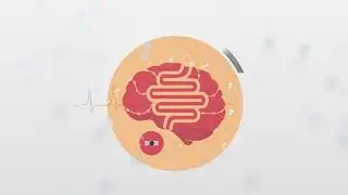 Rome Foundation Communication101