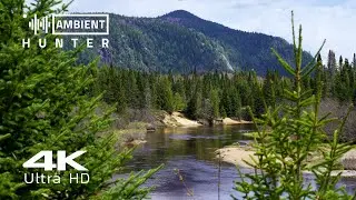 Beautiful Nature of Quebec, Canada | 2 Hours of Nature Sound