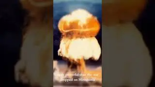 World's most powerful nuclear weapon. #geopolitics #nuclearwar #nuclear #war #internationalrelations