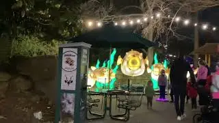 St Louis Zoo 2024 Animals Aglow Lantern Festival - Part 4