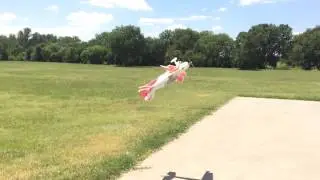 Fancy Foam Raptor Airfoil