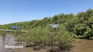 Bangpu Recreation Center/Thailand Bangkok Tour