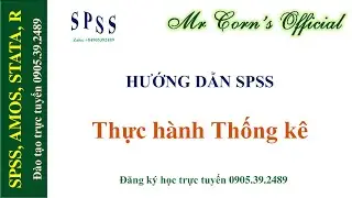 Thực h&agrave;nh Thống k&ecirc; trong SPSS (Frequencies, Descriptives, Crosstabs, Tables, Multiple Response)
