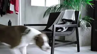 IKEA SP&Auml;NST系列 產品影片-椅子