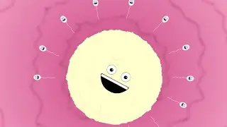 Egg and Sperm | FUNNY and educational Reproduction animation
