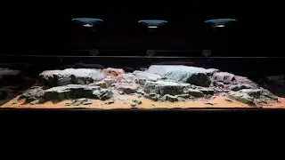 DIY Natural Stream Biome Step-by-Step, Stream Biotope Masterclass: From Wild to Aquarium (DIY Guide)
