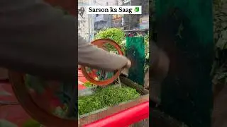 Sarson ka saag | Sarson ka saag 🥬#sarsonkasaag#saagrecipe#food#cooking#shorts#ytshorts#cookingcha...