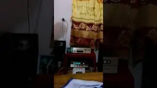 Amply scott 382b
