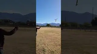 Boomerangs by Vic