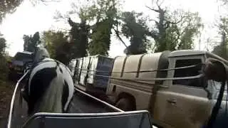 Turpin - training a ride and drive cob.
