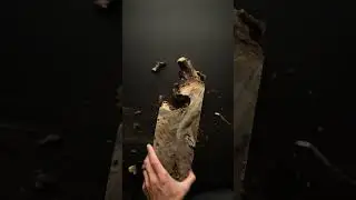 Satisfying bark removal :)