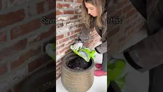 Save Time & Money With This Garden Hack 🙌🌿🤩 #garden #gardening #gardenhacks