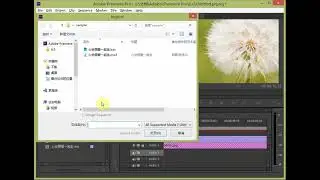 Sayatoo SubtitleMaker