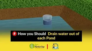 How to Drain Water out of each Pond || Pond Preparation