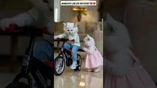 #A Daughter love for her father...❤️😍✨#A daughter sacrifices her happiness for her family...😢😥😓