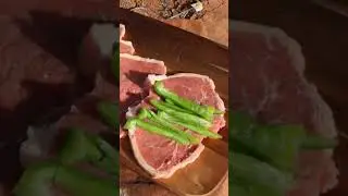 Solar Oven Cooking Hacks For Meat |  Solar Oven Cooking Tips | GoSun