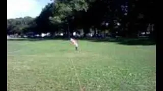 victoria flying a kite.