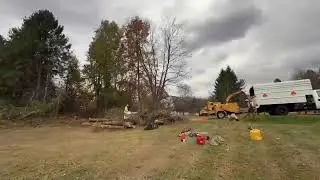 Chesterland Ohio Land Clearing | Lot Prep, Brush Removal, & Cleanup