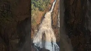 Beautiful Waterfalls💦😍 inside of Similipal Tiger Reserve   #waterfall #waterfalls #travel #shorts